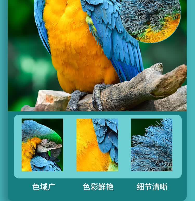 商品詳情圖片