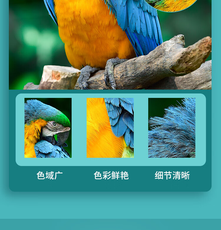 商品詳情圖片