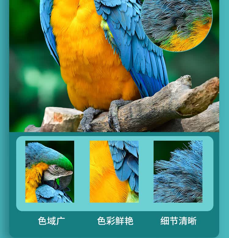 商品詳情圖片